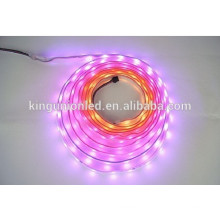 Kingunion Niederspannung SMD 3528 Dekorative Beleuchtung LED Flexible Streifen Licht Serie CE &amp; RoHS Zertifikat